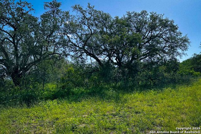 Listing photo id 37 for 000 Fm 1303  