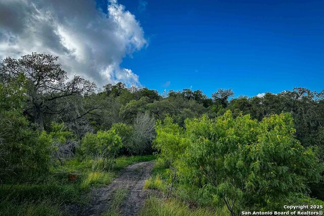 Listing photo id 2 for 000 Fm 1303  