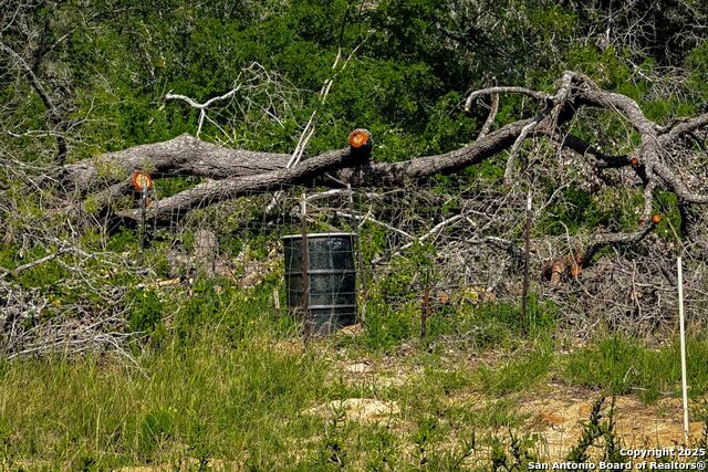 Listing photo id 38 for 000 Fm 1303  