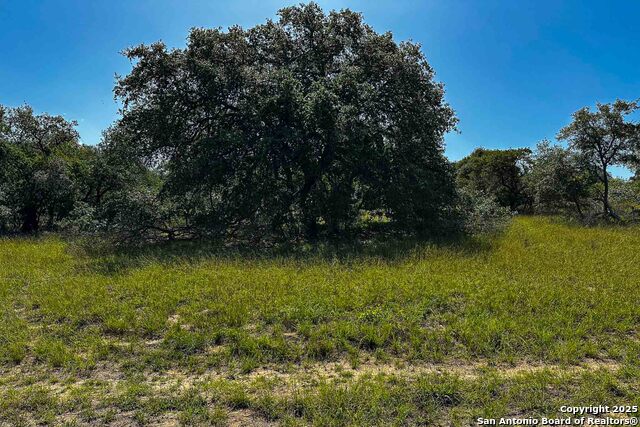 Listing photo id 39 for 000 Fm 1303  