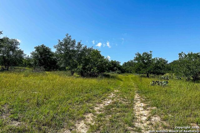 Listing photo id 43 for 000 Fm 1303  