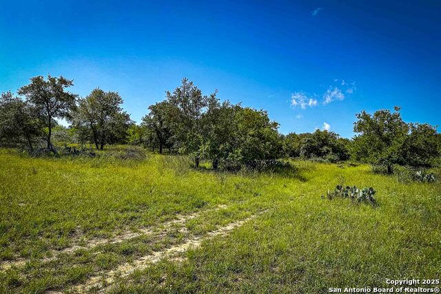 Listing photo id 3 for 000 Fm 1303  