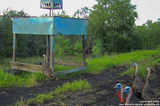 Listing photo id 4 for 000 Fm 1303  