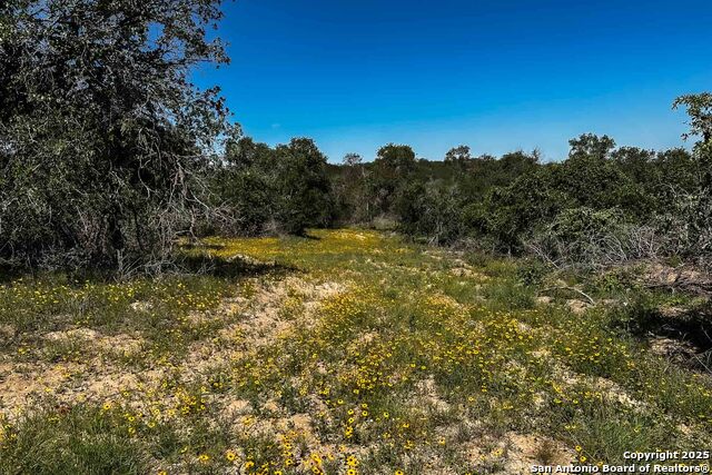 Listing photo id 7 for 000 Fm 1303  