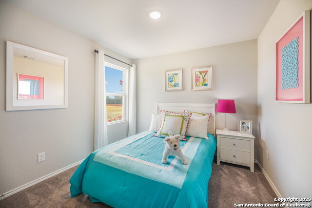 Listing photo id 15 for 7825 Wonder Woman Dr