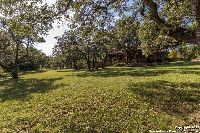 Listing photo id 38 for 11306 Anaqua Springs