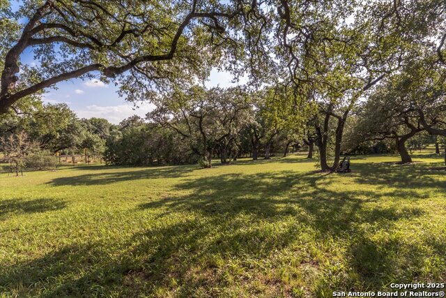 Listing photo id 39 for 11306 Anaqua Springs
