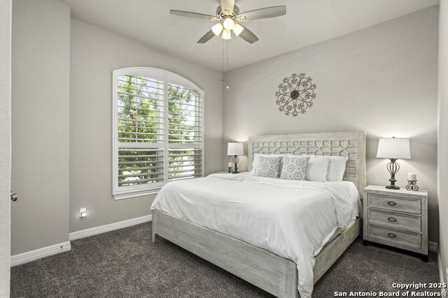 Listing photo id 14 for 11318 Ivy Cadence