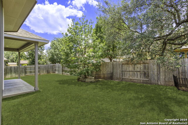 Listing photo id 29 for 11318 Ivy Cadence