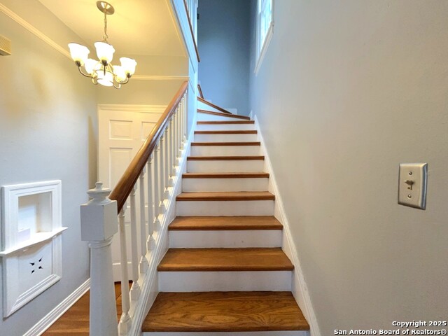 Image 19 of 44 For 2239 Mistletoe Ave W