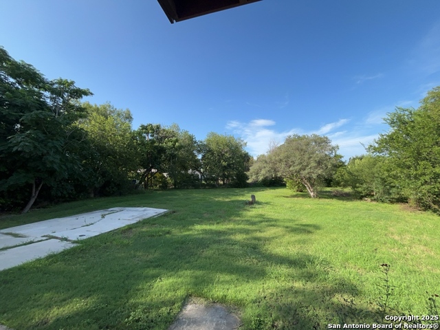 Listing photo id 24 for 103 Harwood Dr