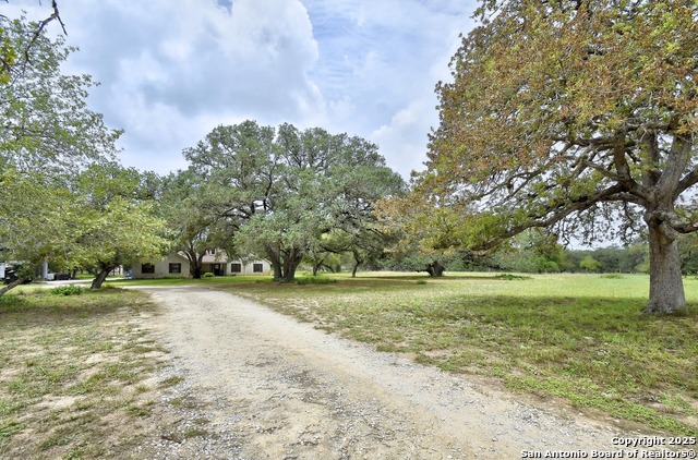 Listing photo id 8 for 1810 Burr Oak