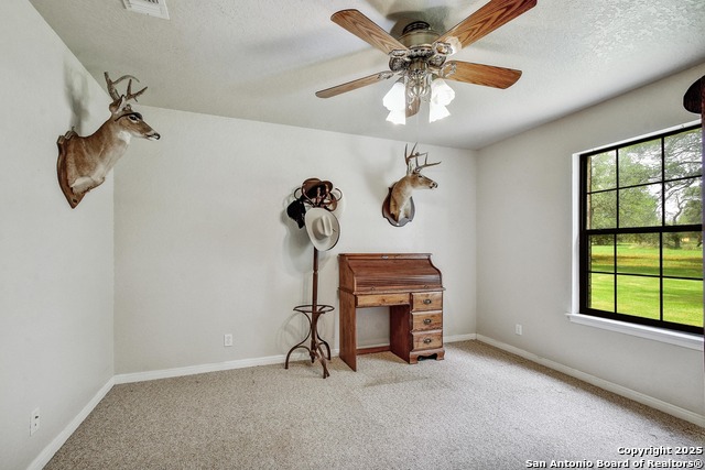 Listing photo id 21 for 1810 Burr Oak