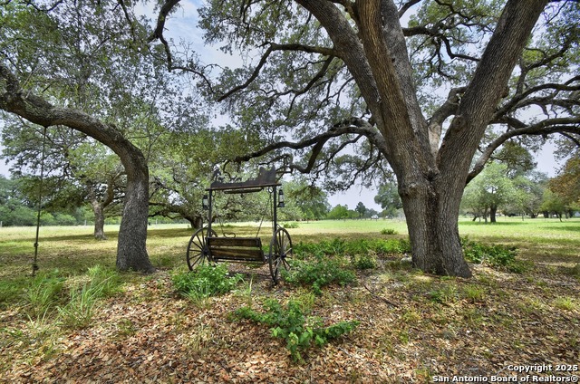 Listing photo id 5 for 1810 Burr Oak