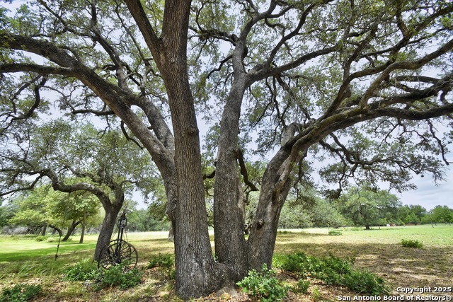 Listing photo id 6 for 1810 Burr Oak