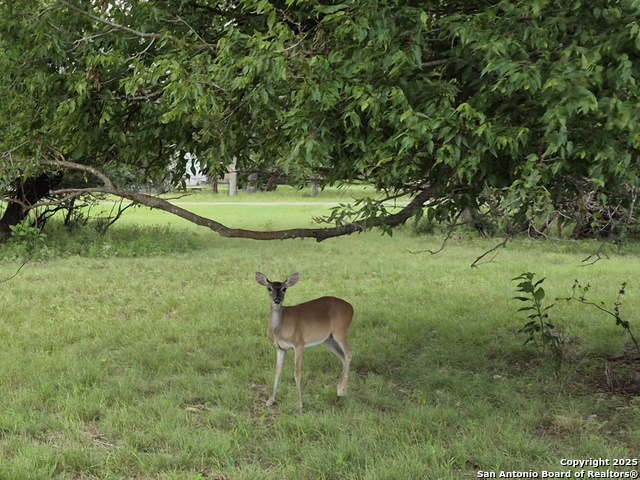 Listing photo id 6 for Lot 6 Antler Cir