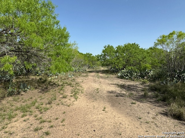 Details for 20 Windmill Ranchettes Cr 329, Jourdanton, TX 78064