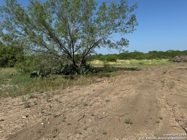 Image 4 of 4 For 20 Windmill Ranchettes Cr 329