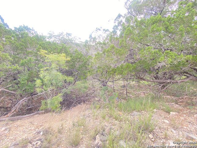 Listing photo id 8 for 000 Cat Claw Mtn