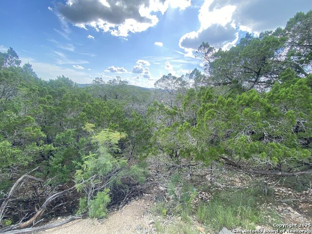 Listing photo id 9 for 000 Cat Claw Mtn