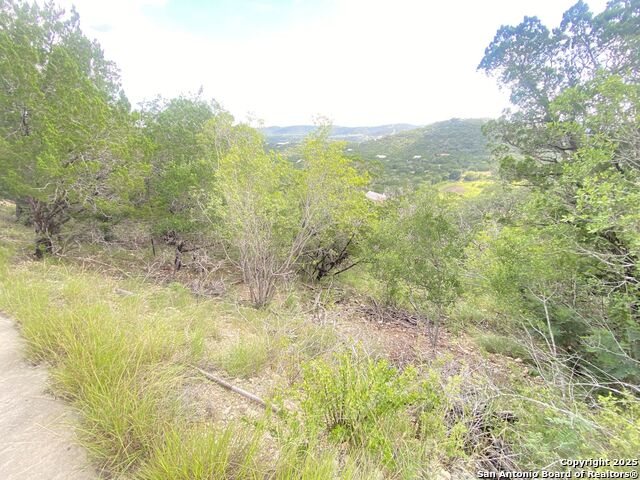 Listing photo id 3 for 000 Cat Claw Mtn