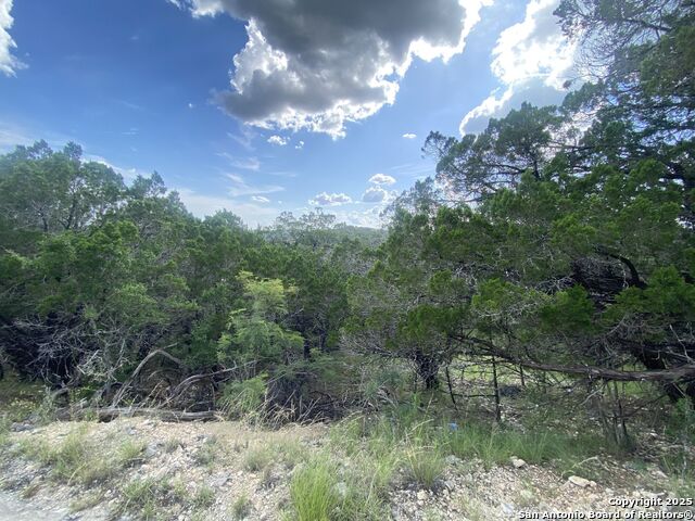 Listing photo id 5 for 000 Cat Claw Mtn