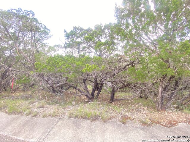 Listing photo id 6 for 000 Cat Claw Mtn