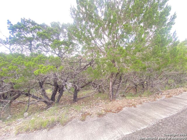Listing photo id 7 for 000 Cat Claw Mtn