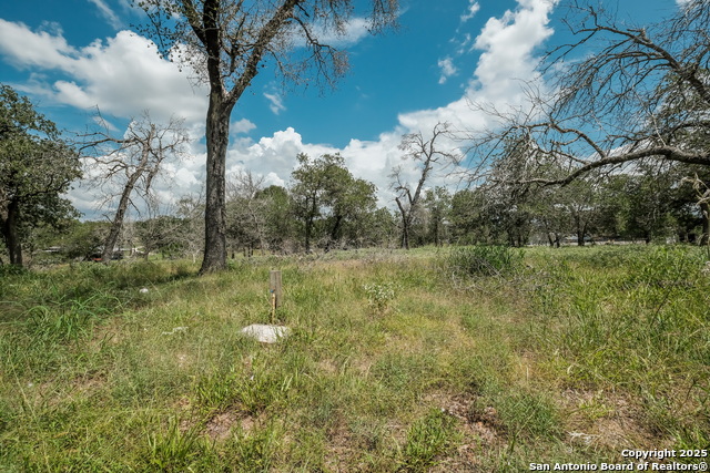 Image 25 of 27 For 131 Flores Oaks