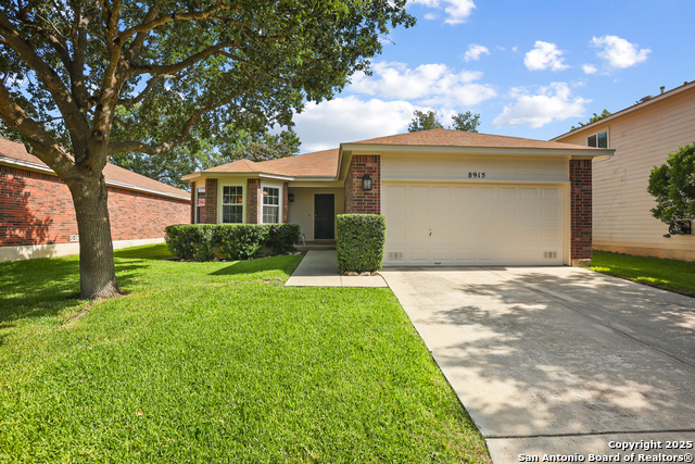Image 20 of 20 For 8915 Burgandy