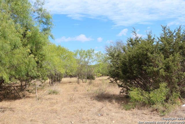 Image 2 of 11 For Lot 23 Cypress