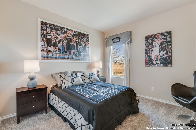 Listing photo id 17 for 3926 Somerset Shade
