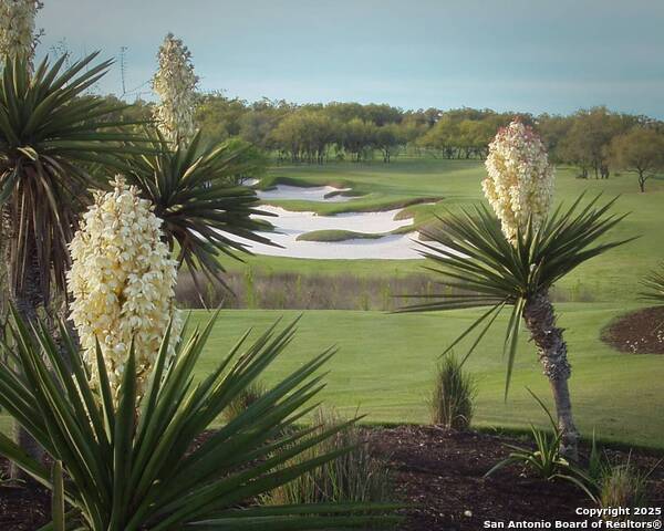 Listing photo id 2 for 3027 Rustlers Trail