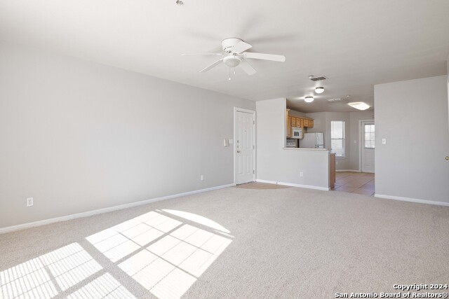 Image 10 of 27 For 3110 Douglas Fir 3112