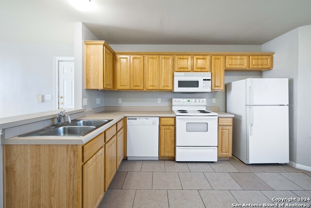 Image 12 of 27 For 3110 Douglas Fir 3112