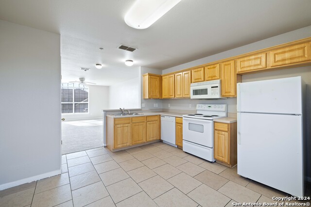 Image 13 of 27 For 3110 Douglas Fir 3112