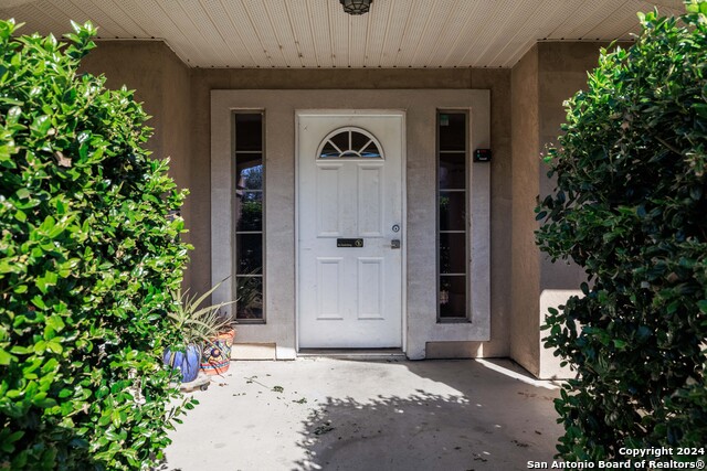 Image 3 of 27 For 3110 Douglas Fir 3112