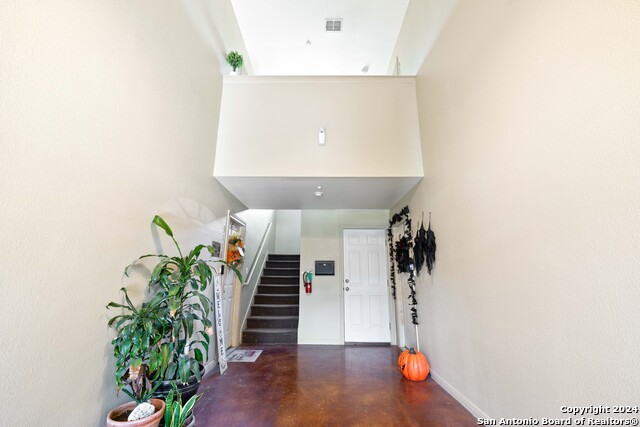 Image 5 of 27 For 3110 Douglas Fir 3112