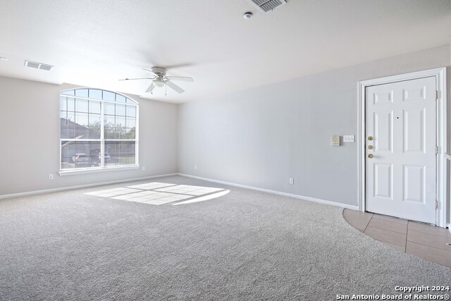 Image 7 of 27 For 3110 Douglas Fir 3112