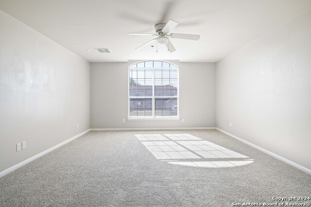 Image 9 of 27 For 3110 Douglas Fir 3112