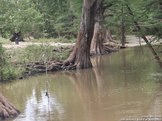 Image 18 of 20 For 22 Cypress  