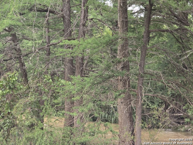 Image 19 of 20 For 22 Cypress  