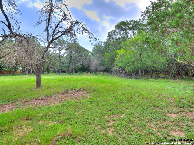 Listing photo id 8 for 16602 Springhill