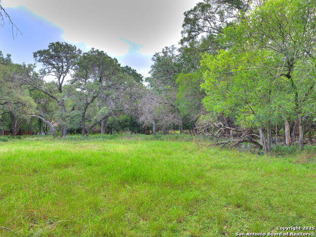 Listing photo id 9 for 16602 Springhill
