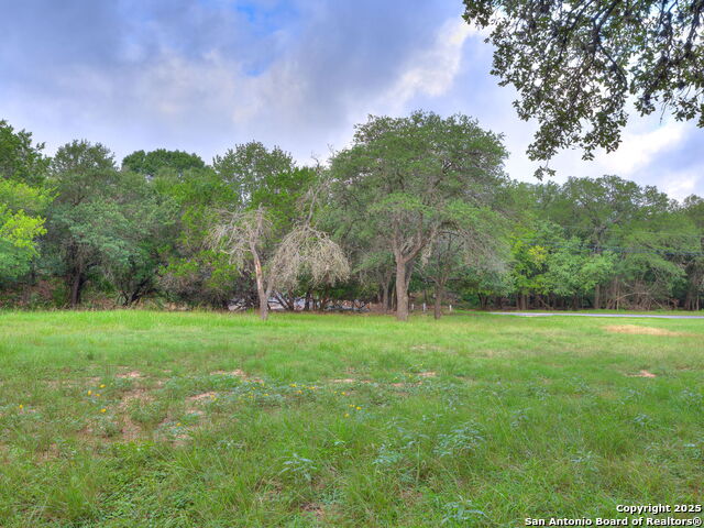 Listing photo id 11 for 16602 Springhill
