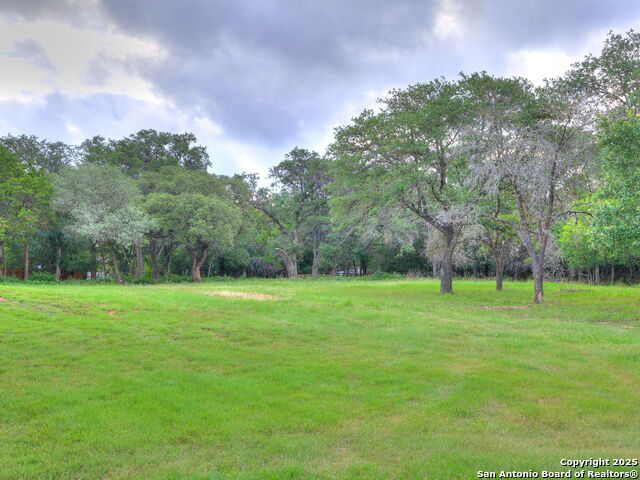 Listing photo id 12 for 16602 Springhill