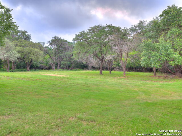 Listing photo id 1 for 16602 Springhill