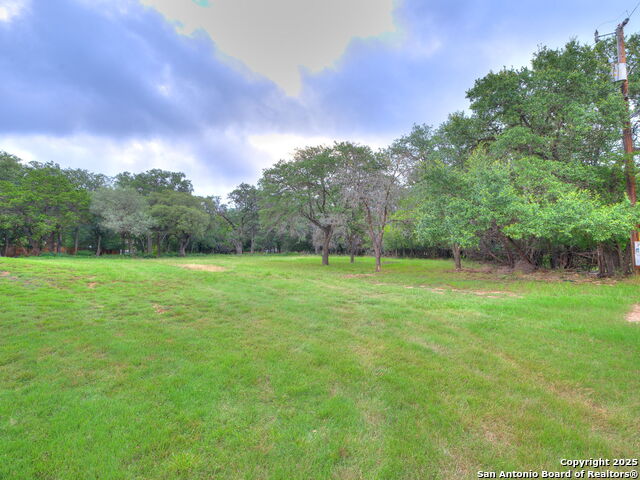 Listing photo id 2 for 16602 Springhill