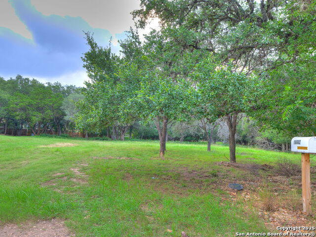 Listing photo id 3 for 16602 Springhill