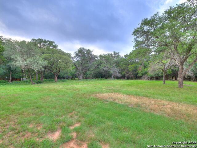 Listing photo id 4 for 16602 Springhill